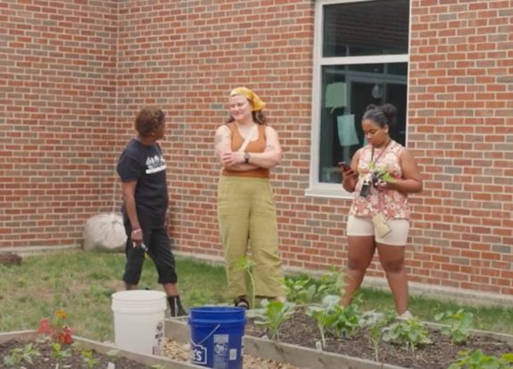 Black Food Sov. Video