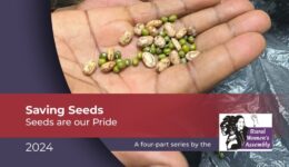 SavingSeeds-SeedsAreOurPride