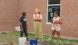 Black Food Sov. Video