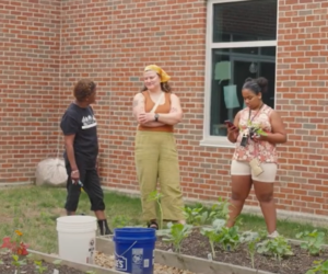 Black Food Sov. Video