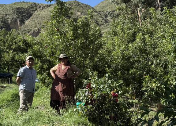 sapahaqui-Bolivia-Aminta
