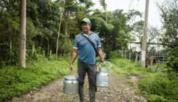 food sovereignty in colombia with FENSUAGRO