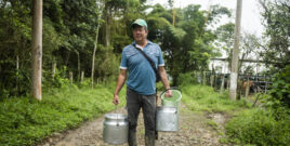 food sovereignty in colombia with FENSUAGRO