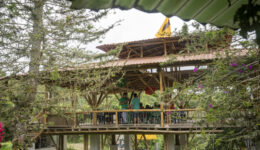 agroecology in Colombia with FENSUAGRO