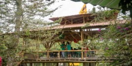 agroecology in Colombia with FENSUAGRO
