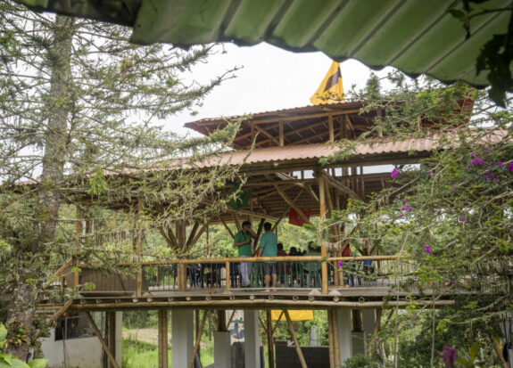 agroecology in Colombia with FENSUAGRO
