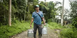 food sovereignty in colombia with FENSUAGRO