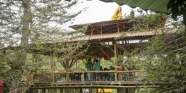 agroecology in Colombia with FENSUAGRO