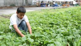 help end hunger