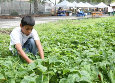 help end hunger
