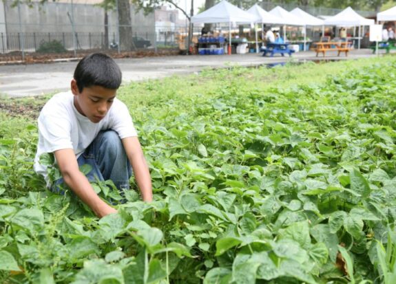 help end hunger