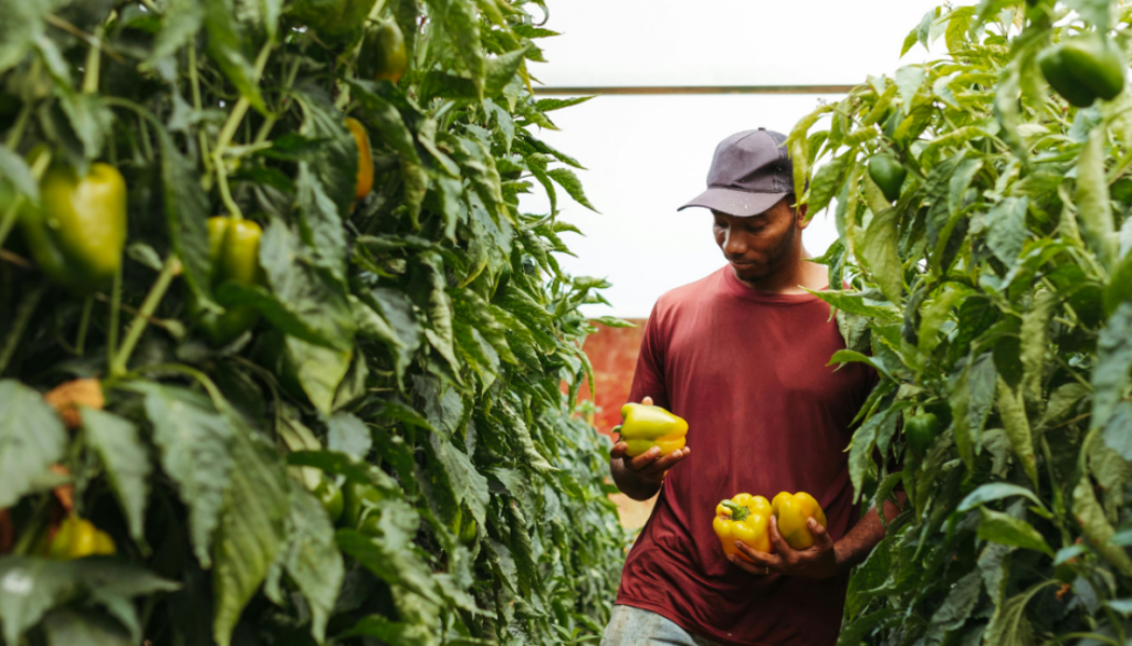 food justice