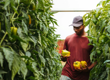 food justice