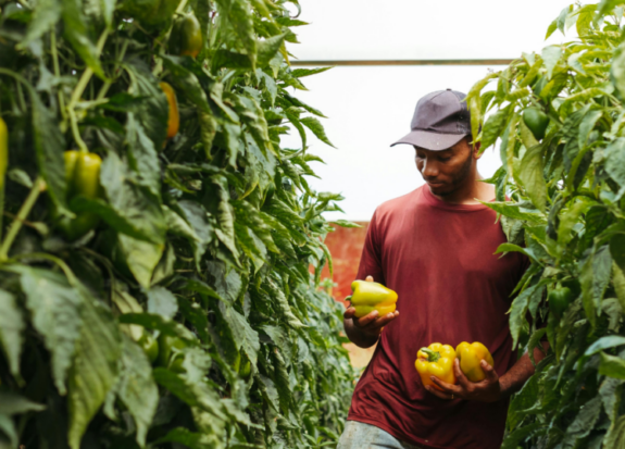 food justice