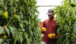 food justice