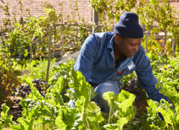 Black gardener - social