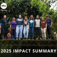 WhyHunger 2025 impact summary