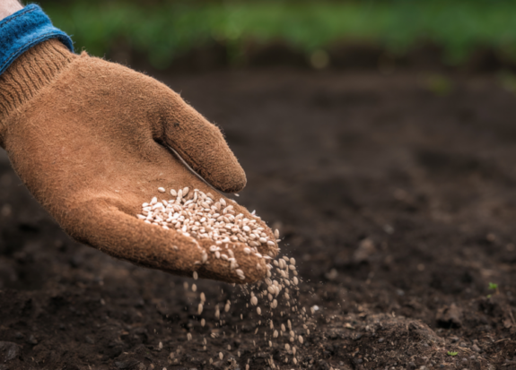 farm-seeds