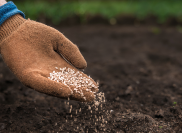 farm-seeds