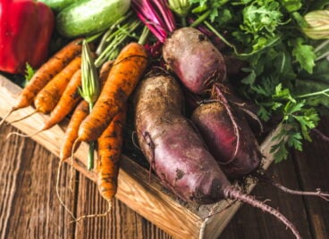 AdobeStock_219083430_produce_vegetables
