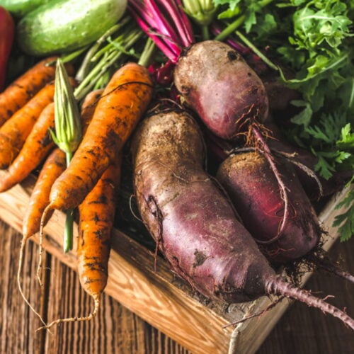 AdobeStock_219083430_produce_vegetables