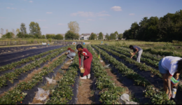 Still from 2025 Midwest Gathering video