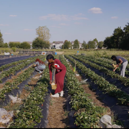 Still from 2025 Midwest Gathering video