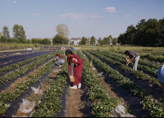 Still from 2025 Midwest Gathering video