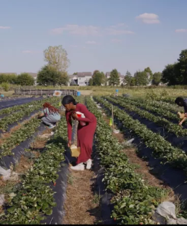 Still from 2025 Midwest Gathering video