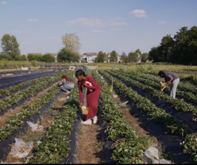 Still from 2025 Midwest Gathering video