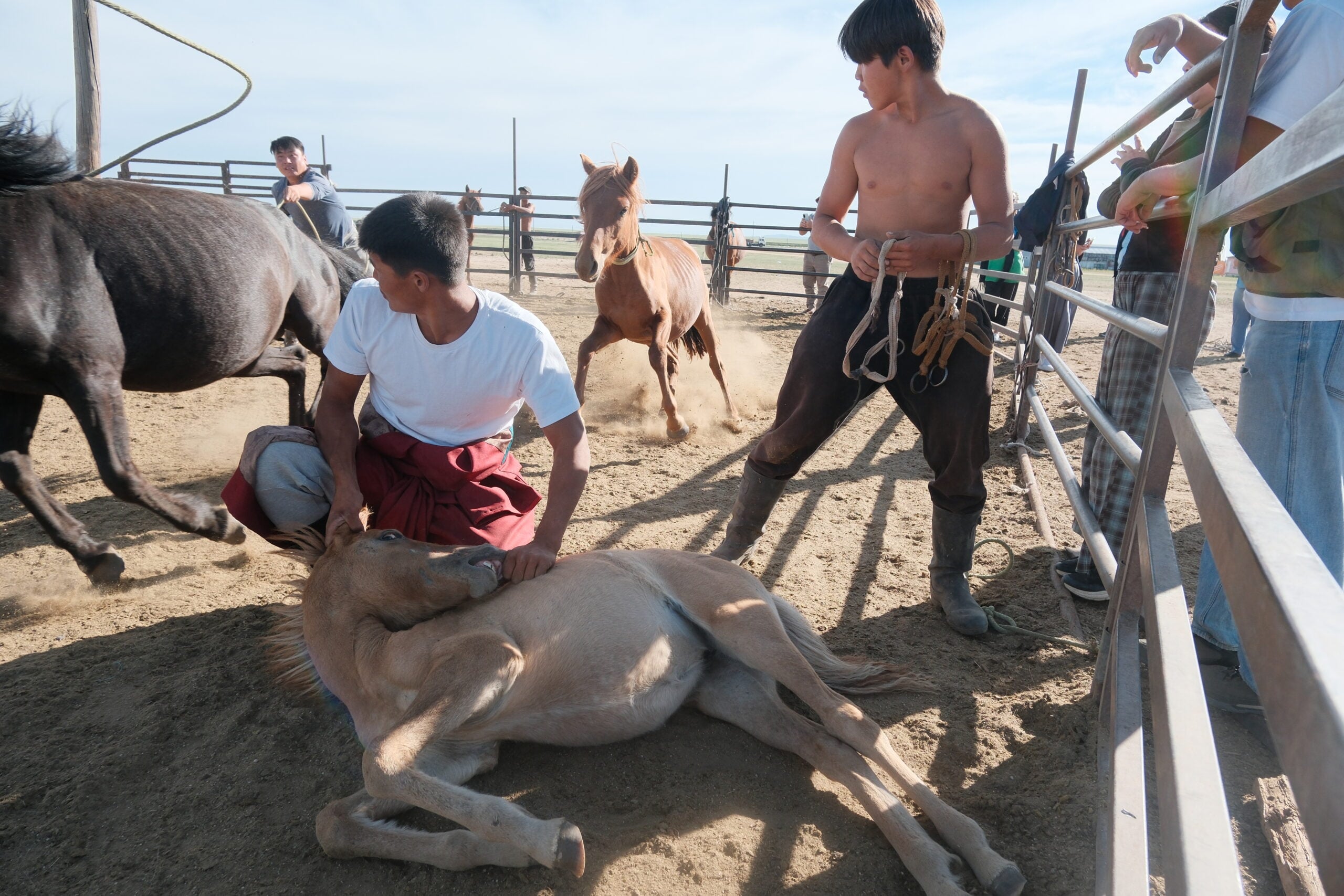Mongolian shepherds preparing to milk horses in the Govisümber province, Mongolia. Photo Credit: Melanie Marques