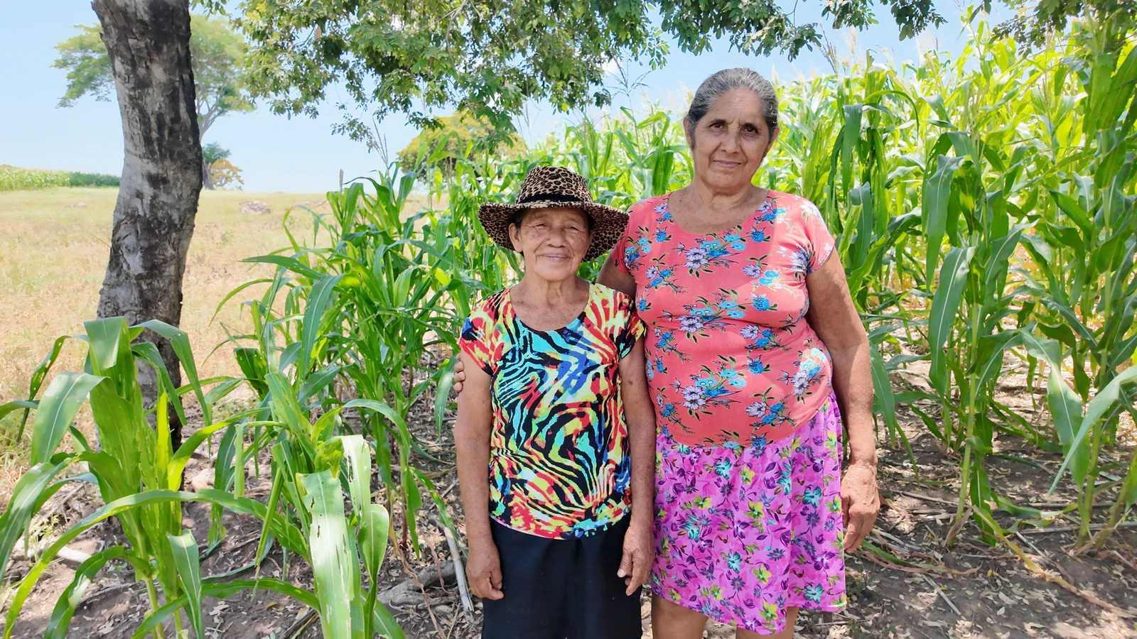 Two women community leaders pose in a cornfield, reflecting the women-led organizing that strengthens local food systems in El Salvador.