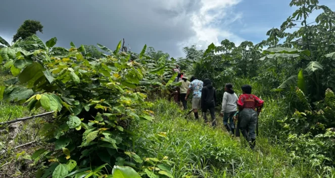 People walking single file up a grassy tropical hillside under cloudy skies