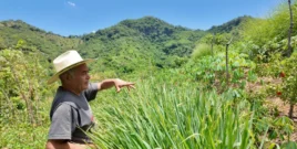 Don Gregorio gestures toward hillside crops near his home during a WhyHunger visit with FECORACEN partners in El Salvador.