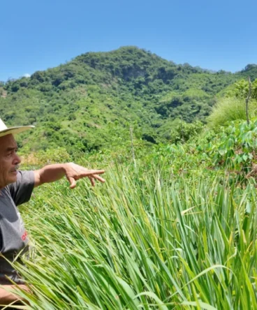 Don Gregorio gestures toward hillside crops near his home during a WhyHunger visit with FECORACEN partners in El Salvador.