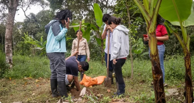 Group planting together in a clearing among tropical foliage