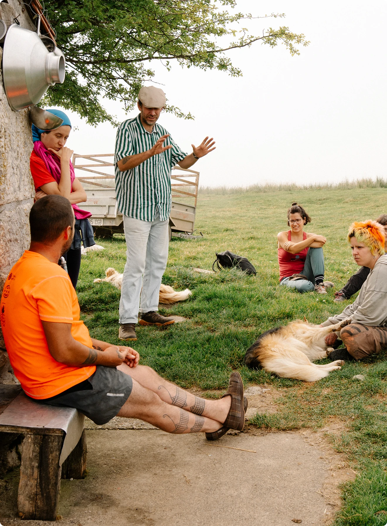 People gathered outdoors for a discussion beside a stone building with two dogs