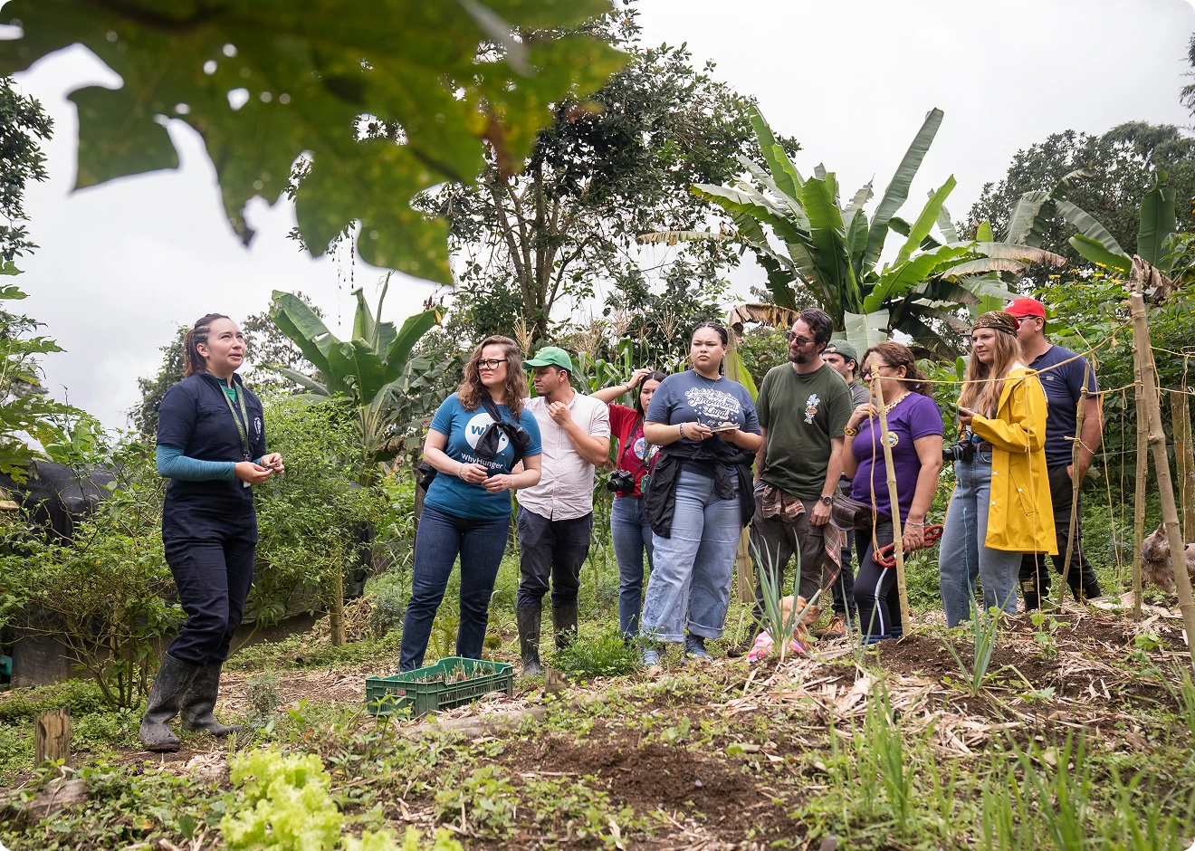 Group learning in a tropical garden during a sustainable farming visit