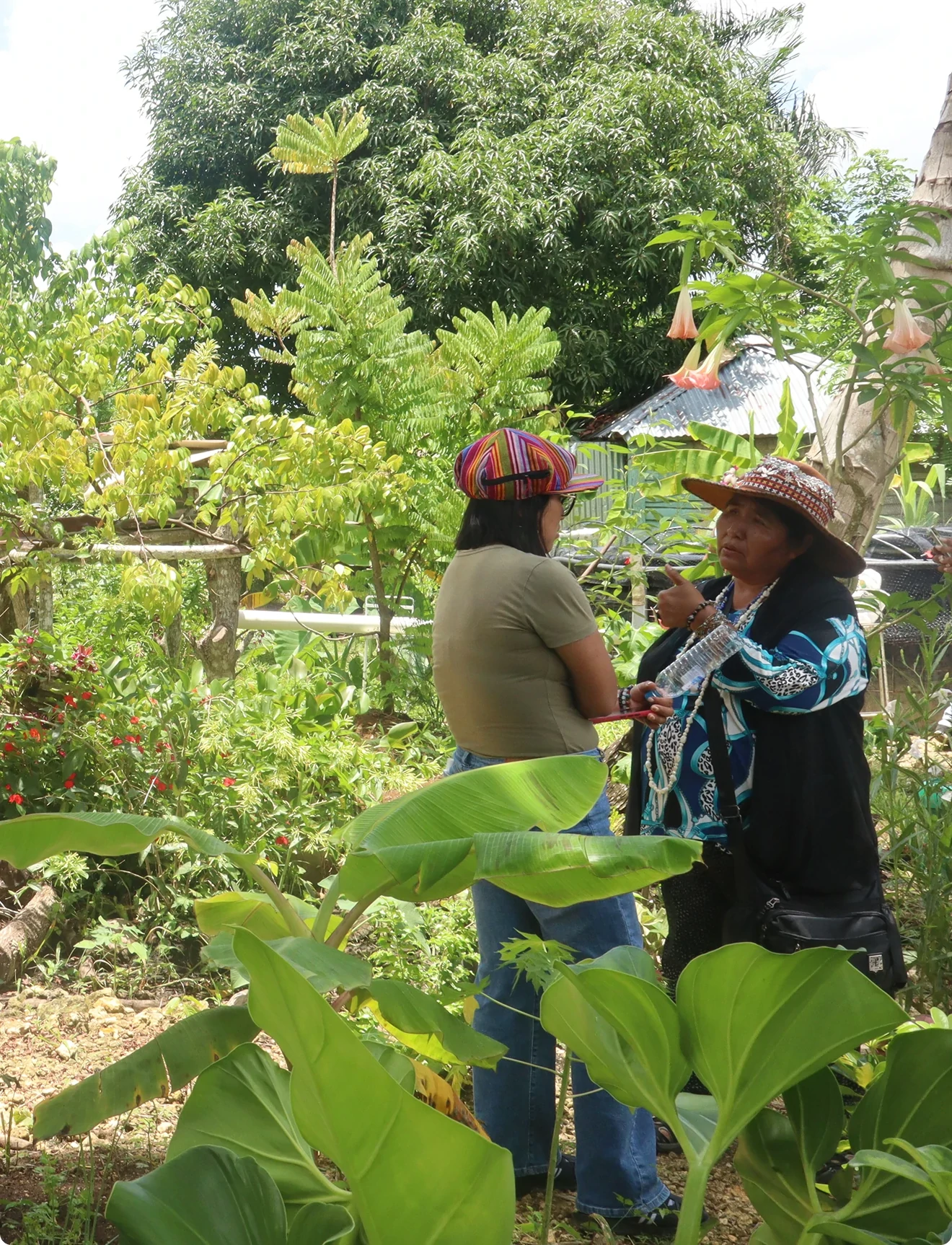 Two women talking in a lush tropical garden